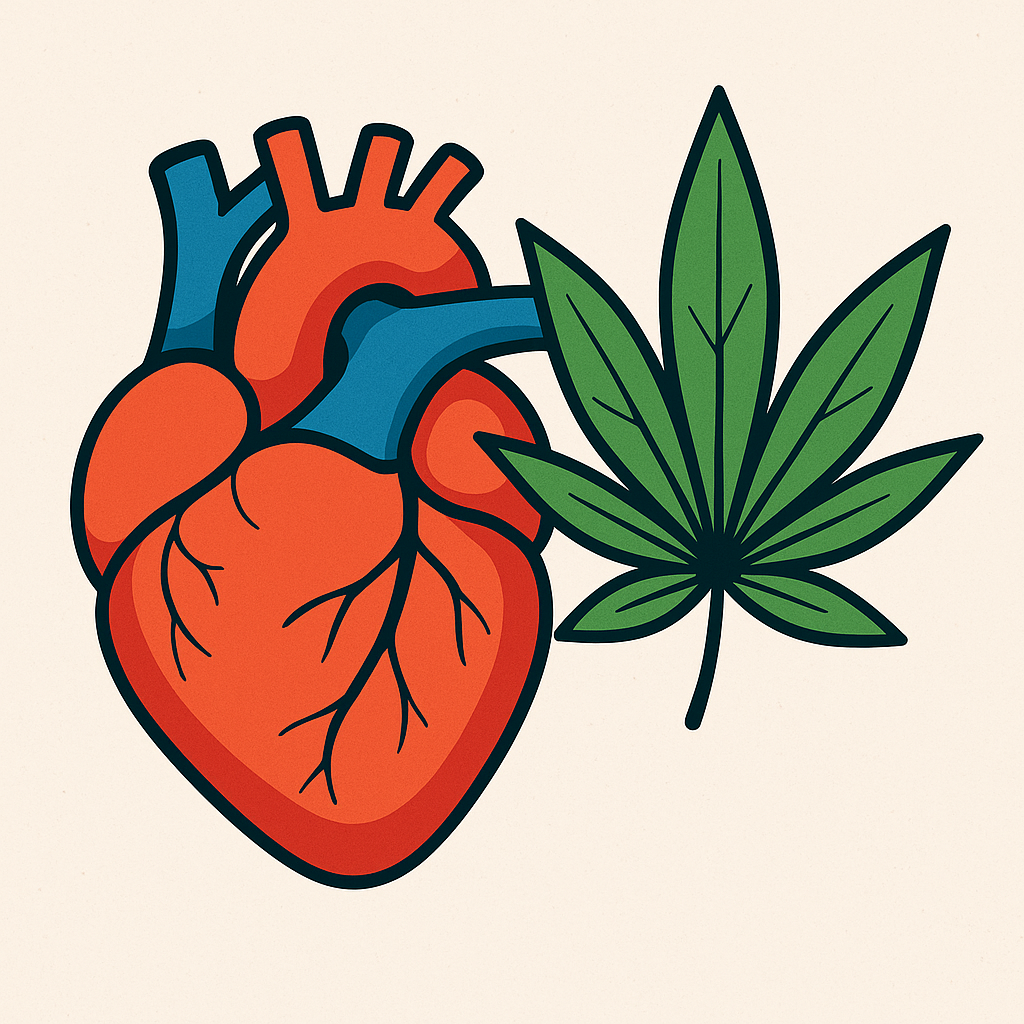 Herz & CBD-Öl: perfekte Kombination