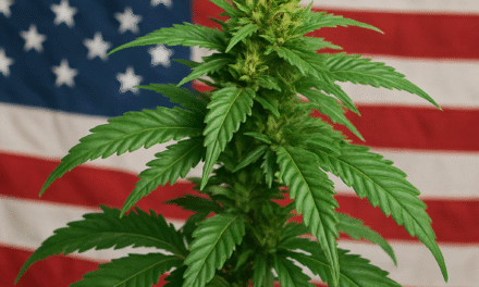 USA & Cannabis